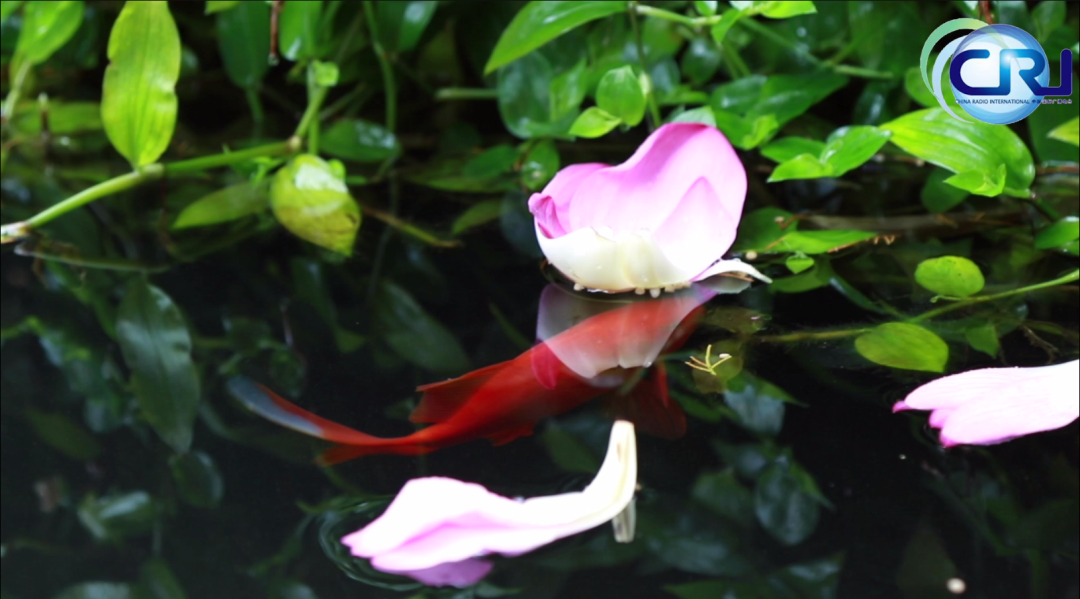 WeChat Image_20220410091640.png