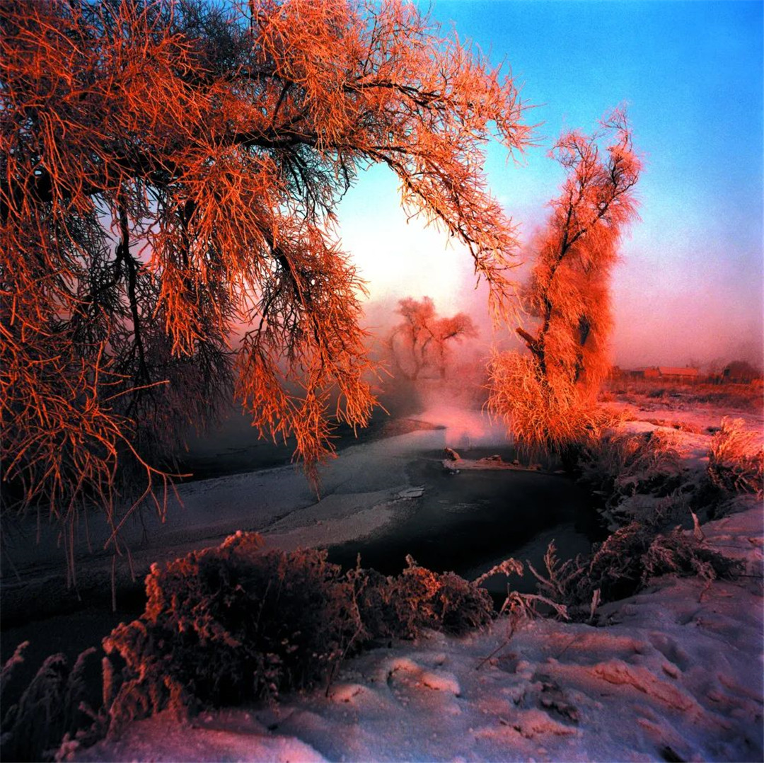 WeChat Image_20220315140207.jpg