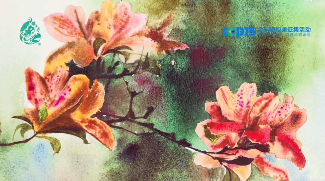 WeChat Image_20220513095219.png