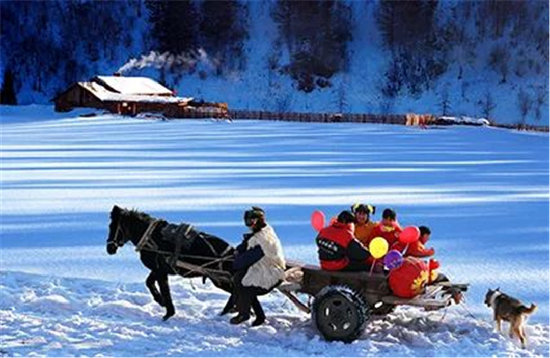 WeChat Image_20220315140219.jpg