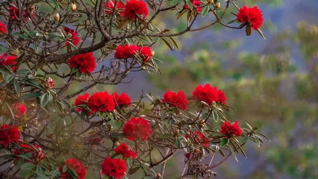 WeChat Image_20220513095225.jpg