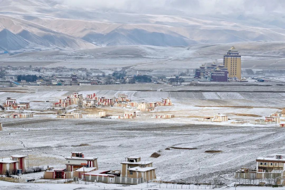 WeChat Image_20220519095829.jpg