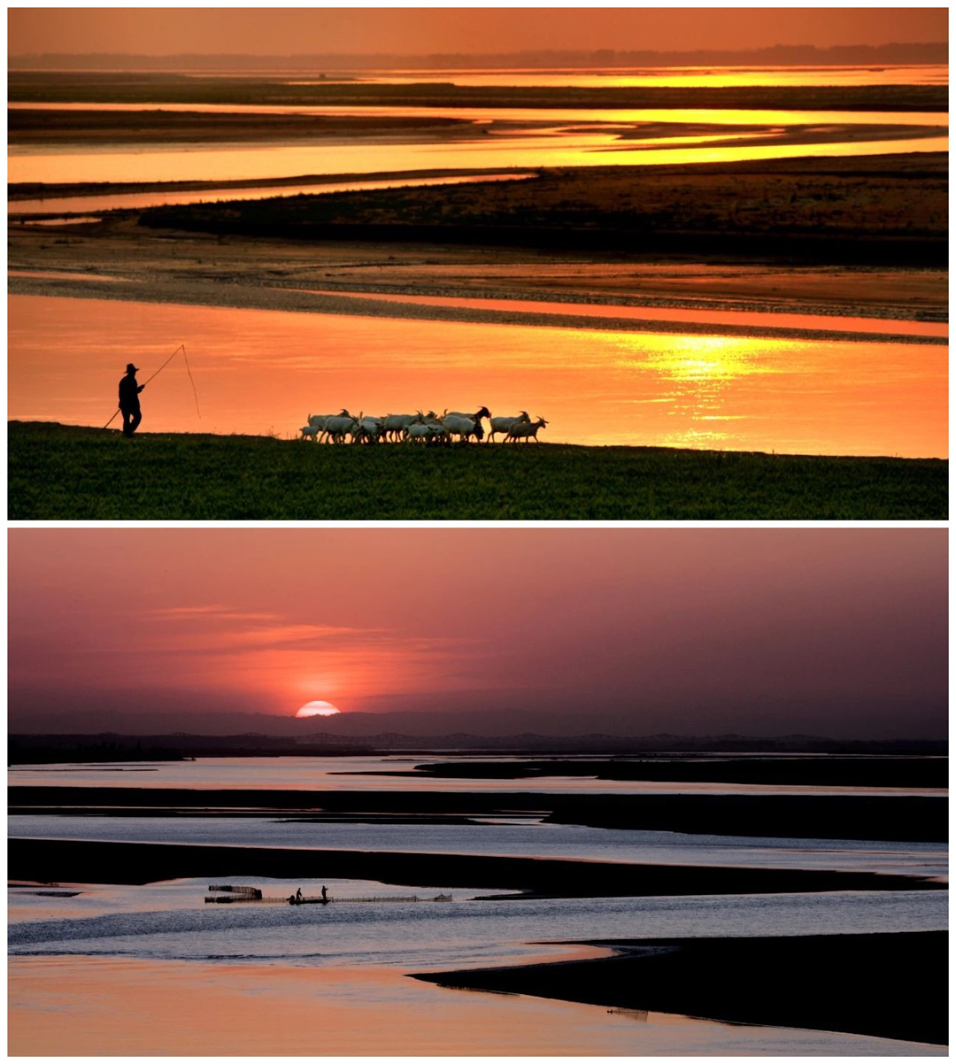 Image_20240816131312 (2).jpg