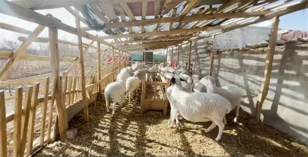 WeChat Image_20220606102042.jpg