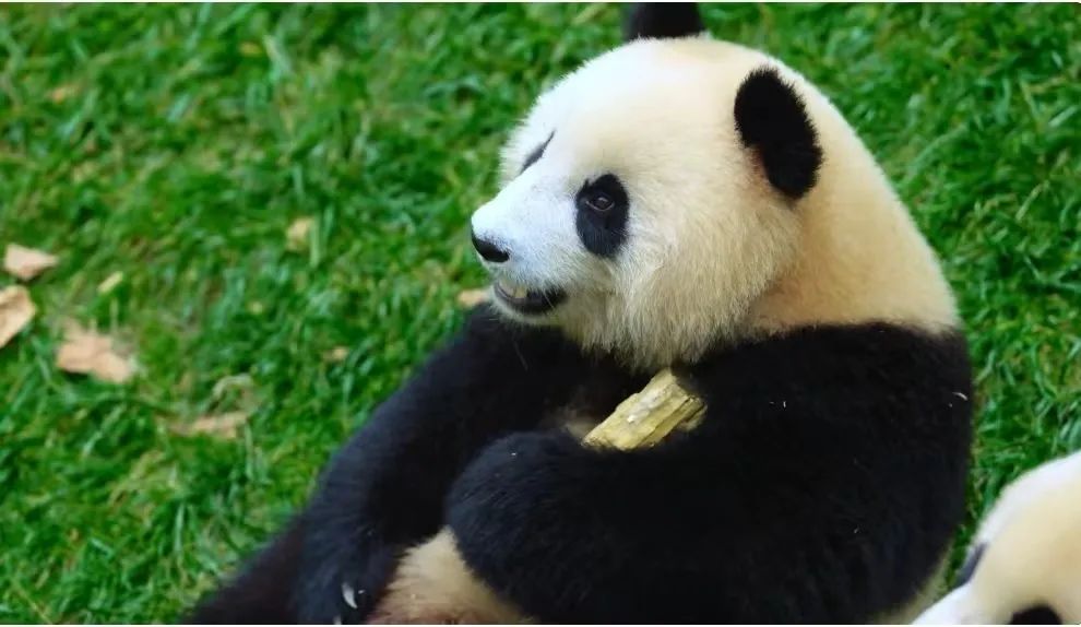 WeChat Image_20220607132340.jpg