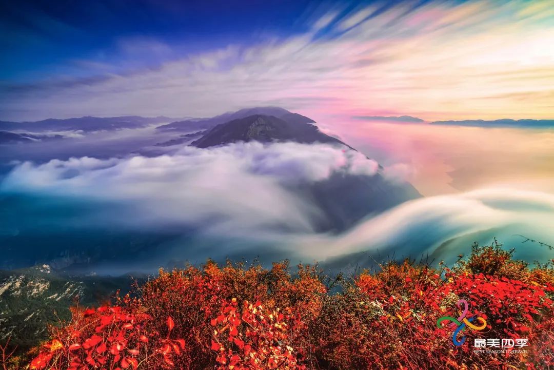 WeChat Image_20220608091426.jpg