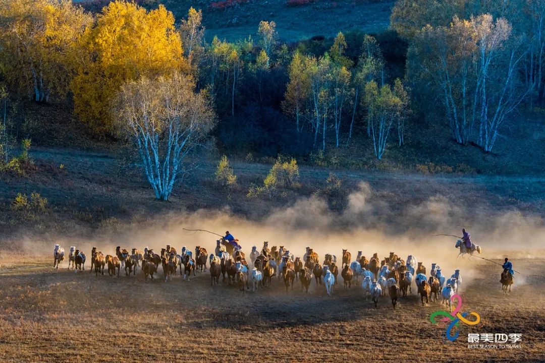 WeChat Image_20220608091509.jpg