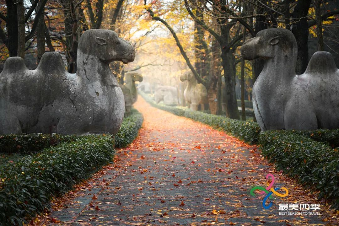 WeChat Image_20220608091550.jpg