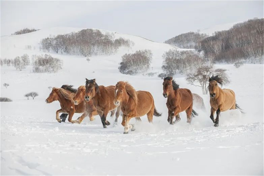 WeChat Image_20220608122813.jpg