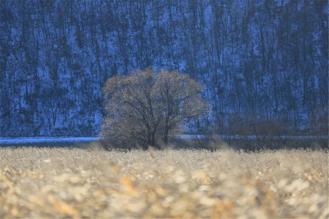 WeChat Image_20220608122823.jpg