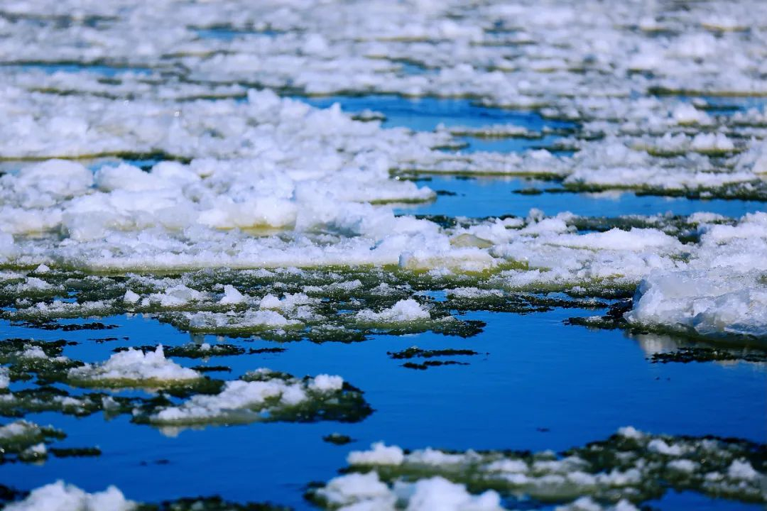 WeChat Image_20220608122829.jpg