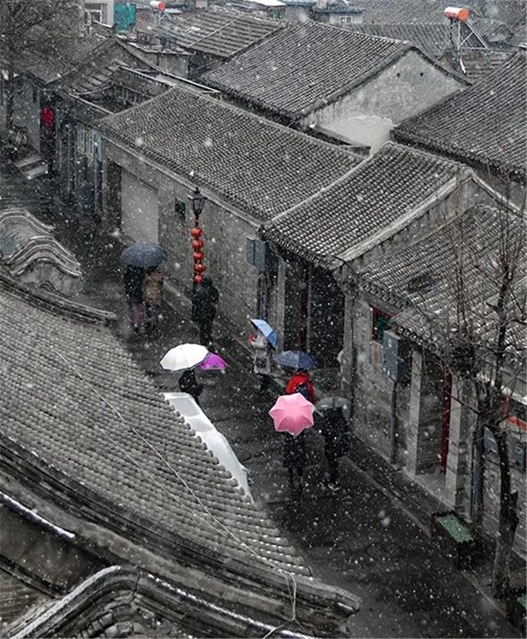 WeChat Image_20220608122844.jpg