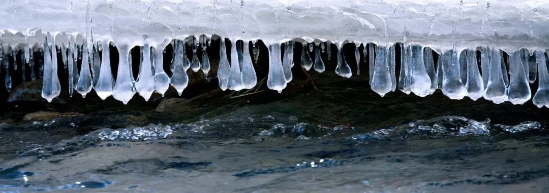 WeChat Image_20220608122851.jpg