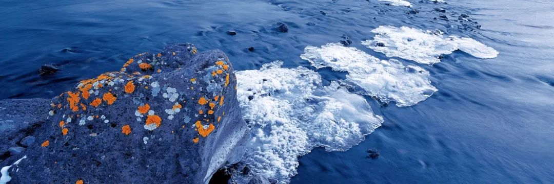 WeChat Image_20220608122854.jpg