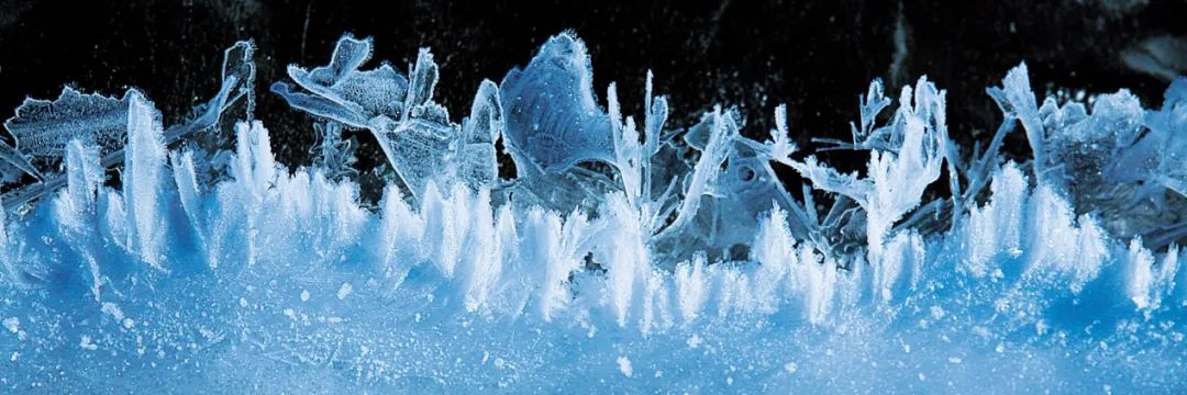 WeChat Image_20220608122859.jpg