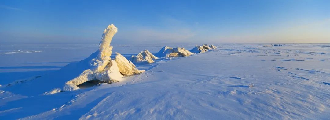 WeChat Image_20220608122902.jpg