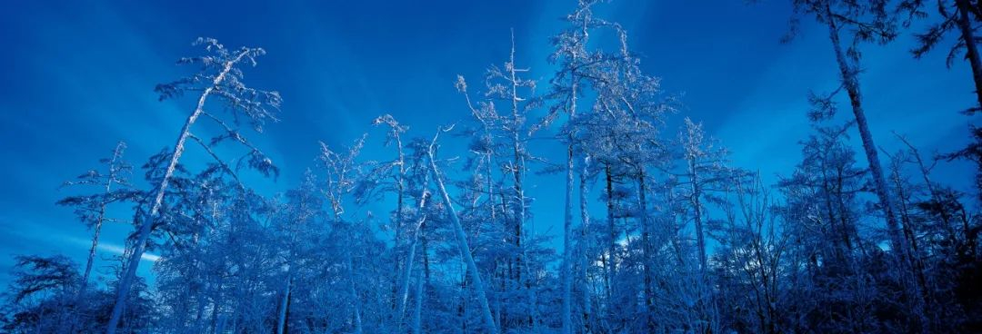 WeChat Image_20220608122906.jpg