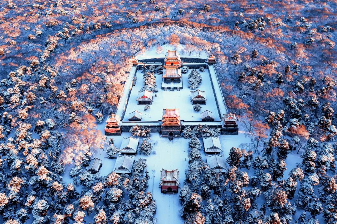 WeChat Image_20220628100858.jpg