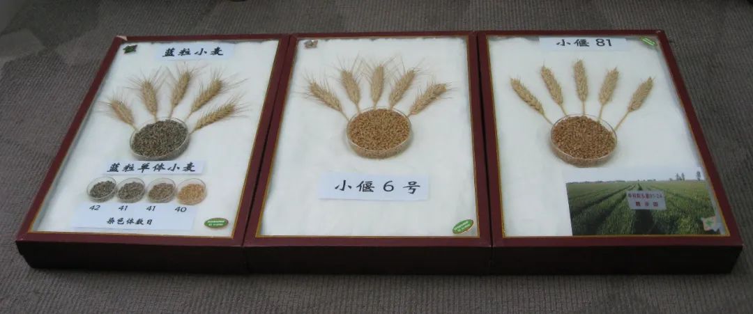 WeChat Image_20220701190536.jpg