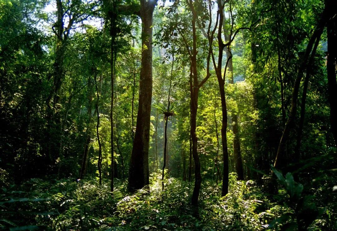 WeChat Image_20220705100110.jpg