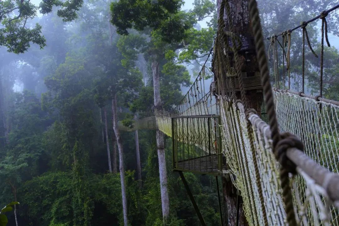 WeChat Image_20220705100127.jpg