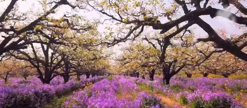 WeChat Image_20220708101310.jpg