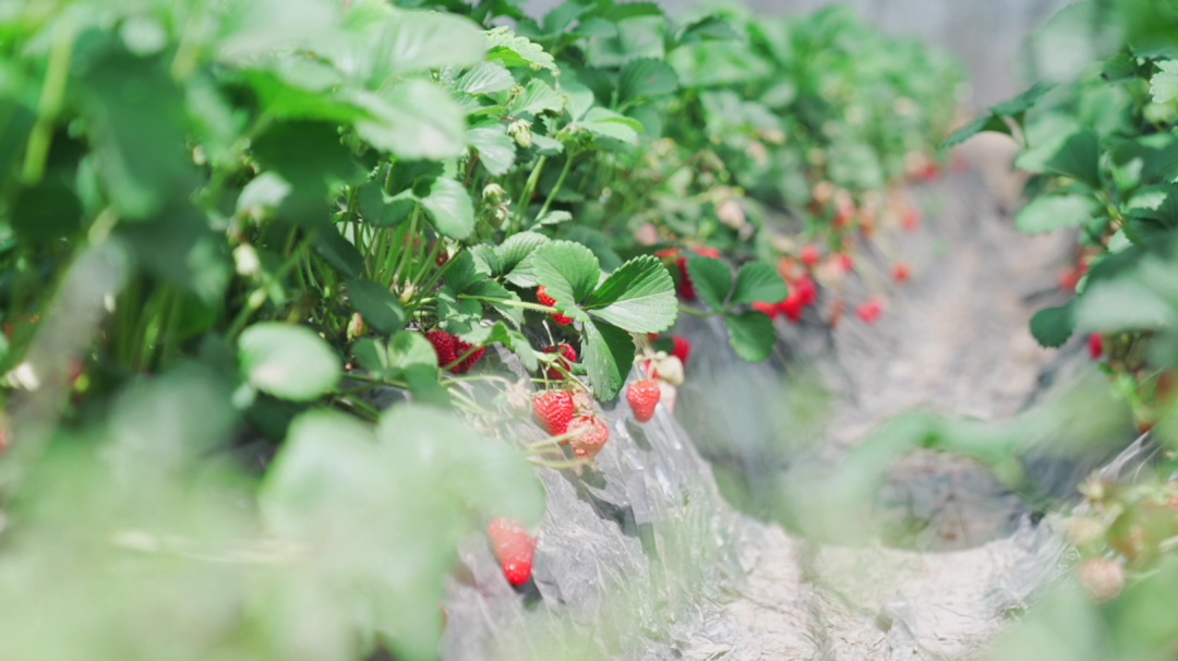 WeChat Image_20220708153015.png