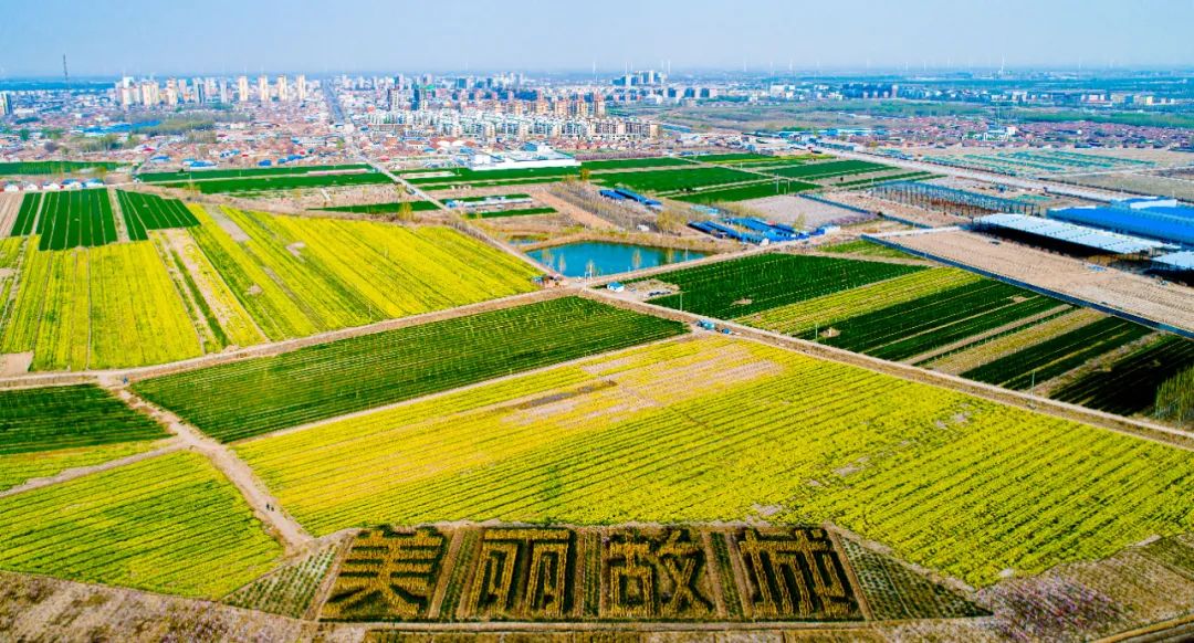 WeChat Image_20220726125128.jpg