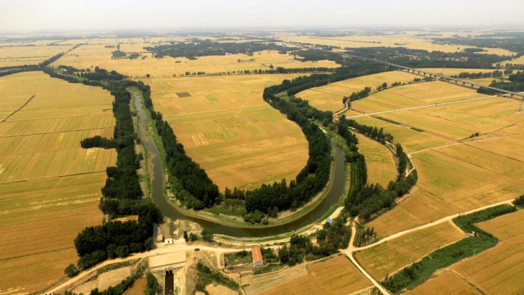 WeChat Image_20220726125133.jpg