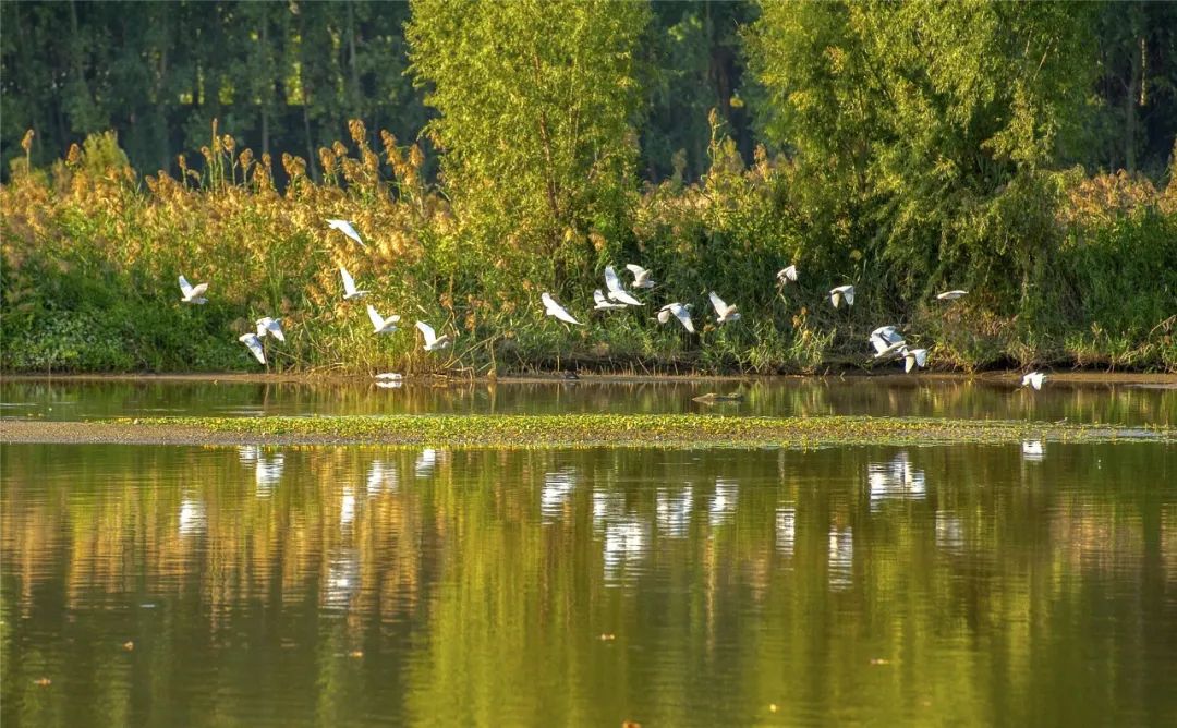 WeChat Image_20220726135013.jpg