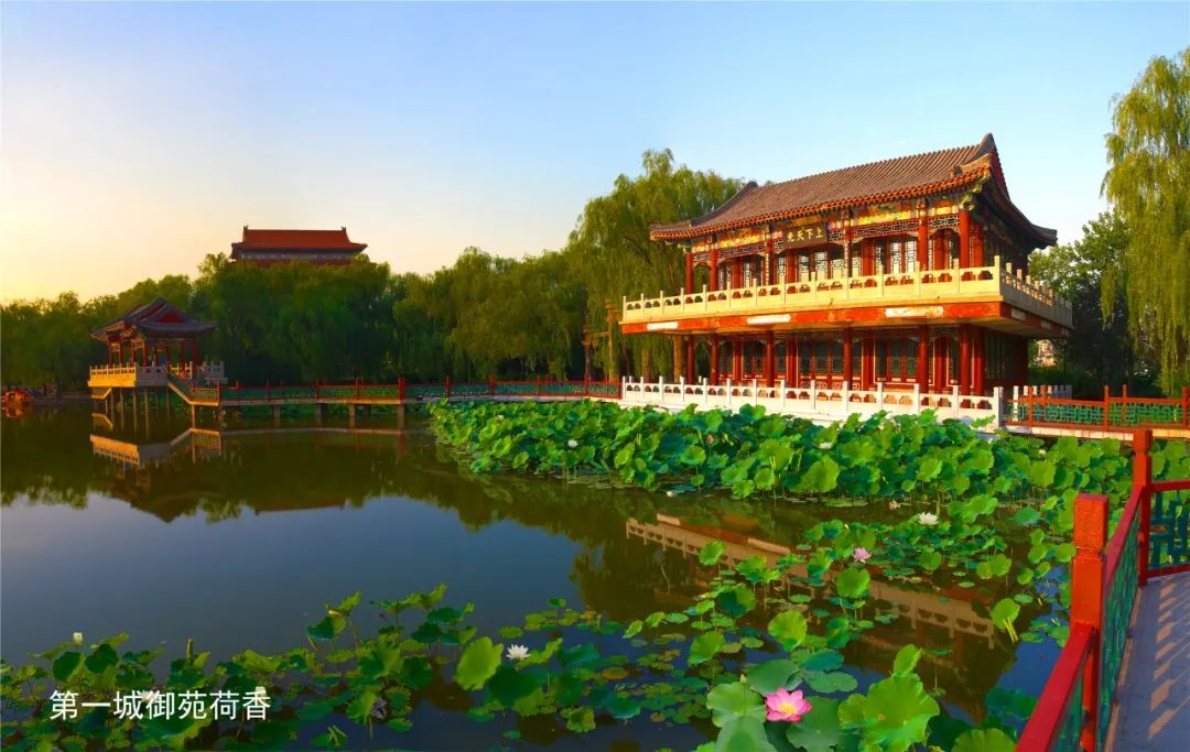 WeChat Image_20220726135027.jpg