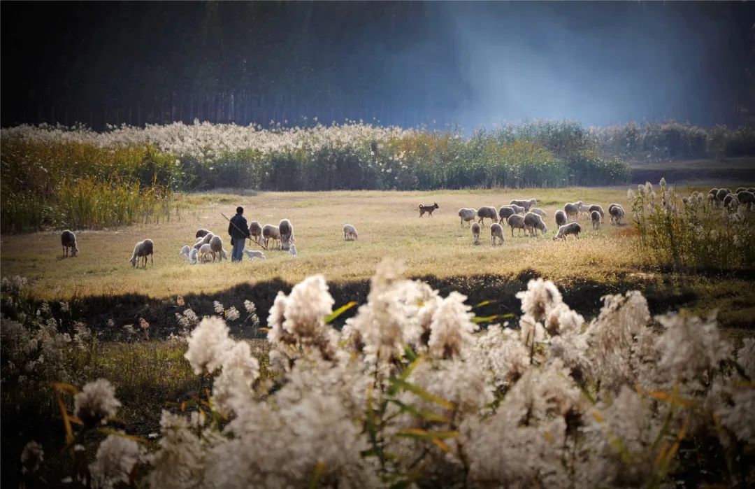 WeChat Image_20220726135040.jpg