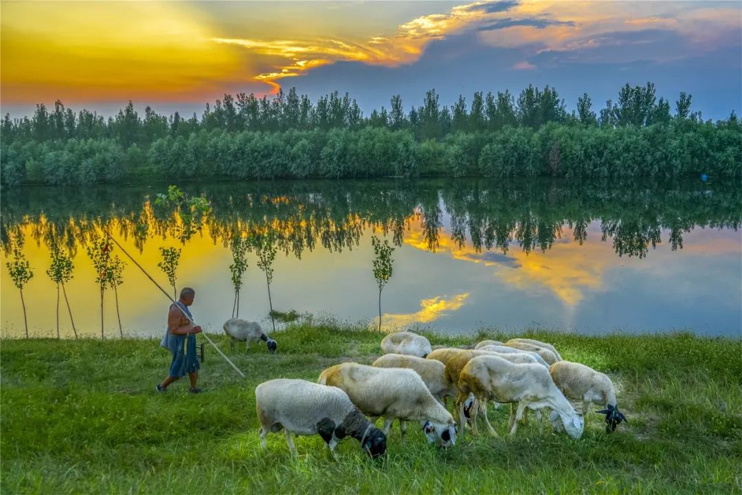 WeChat Image_20220726135044.jpg