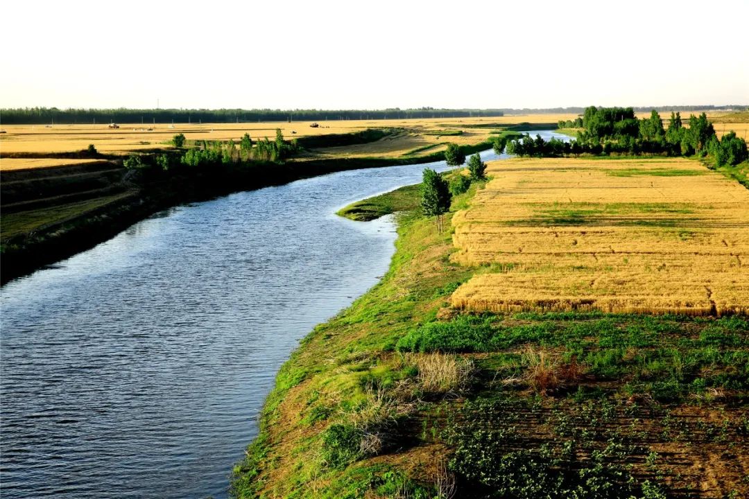 WeChat Image_20220726135055.jpg