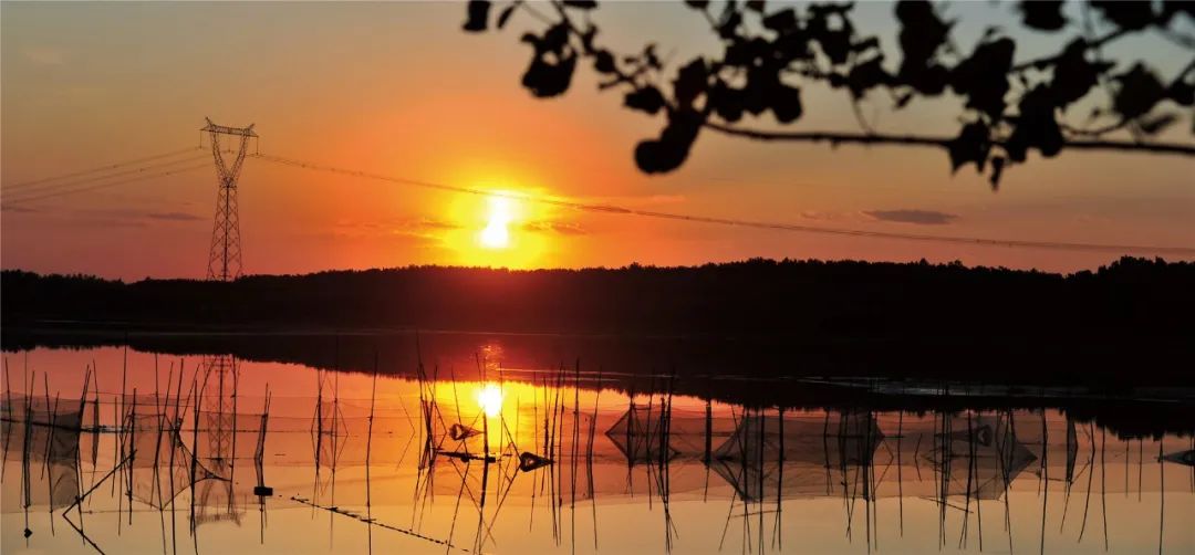 WeChat Image_20220726135100.jpg