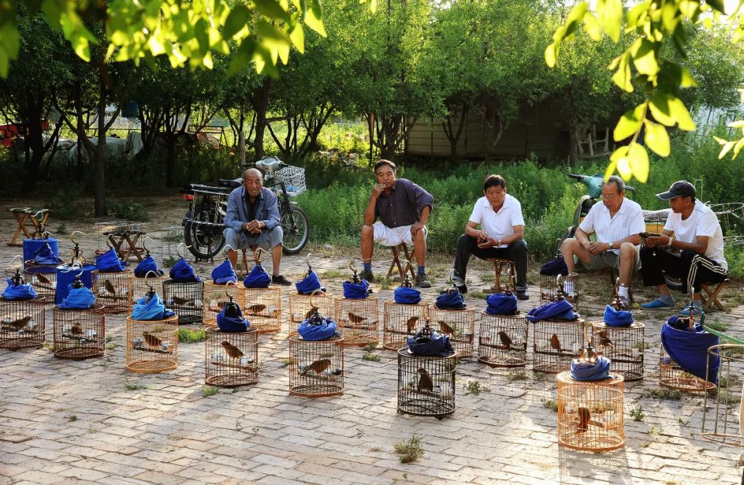 WeChat Image_20220727114214.jpg