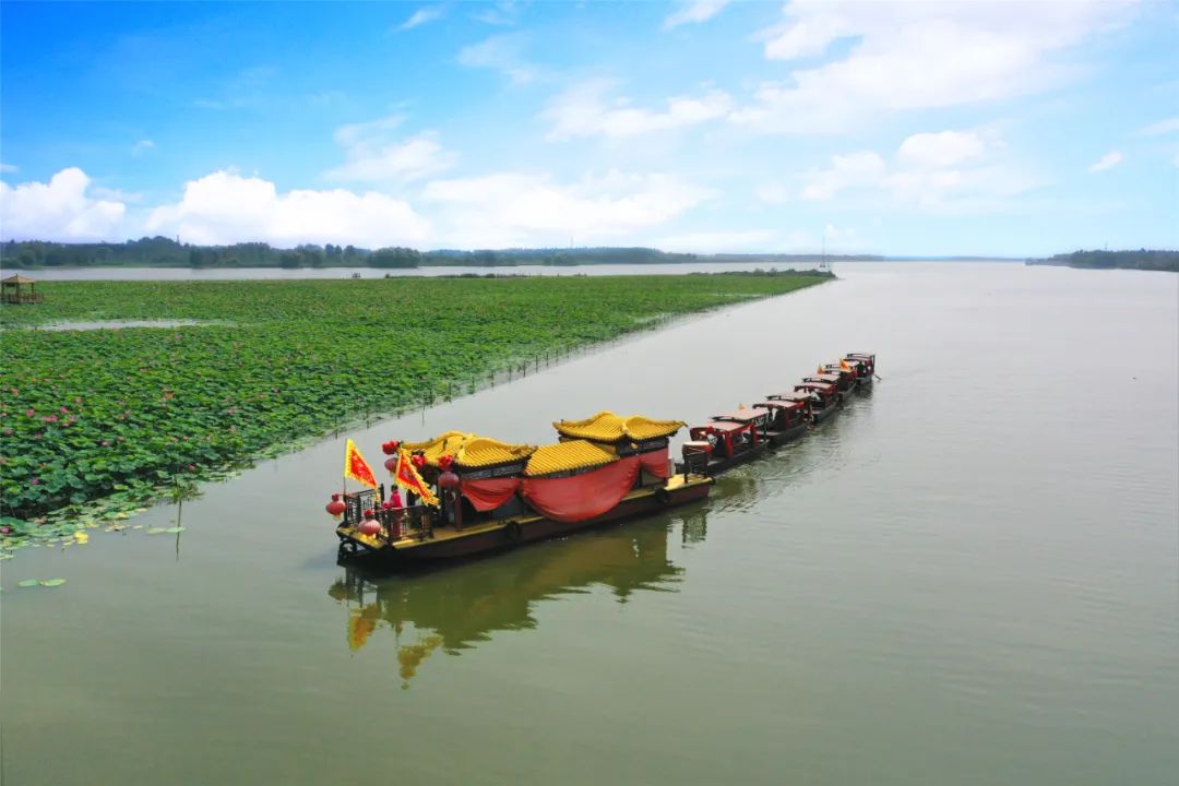 WeChat Image_20220729100218.jpg