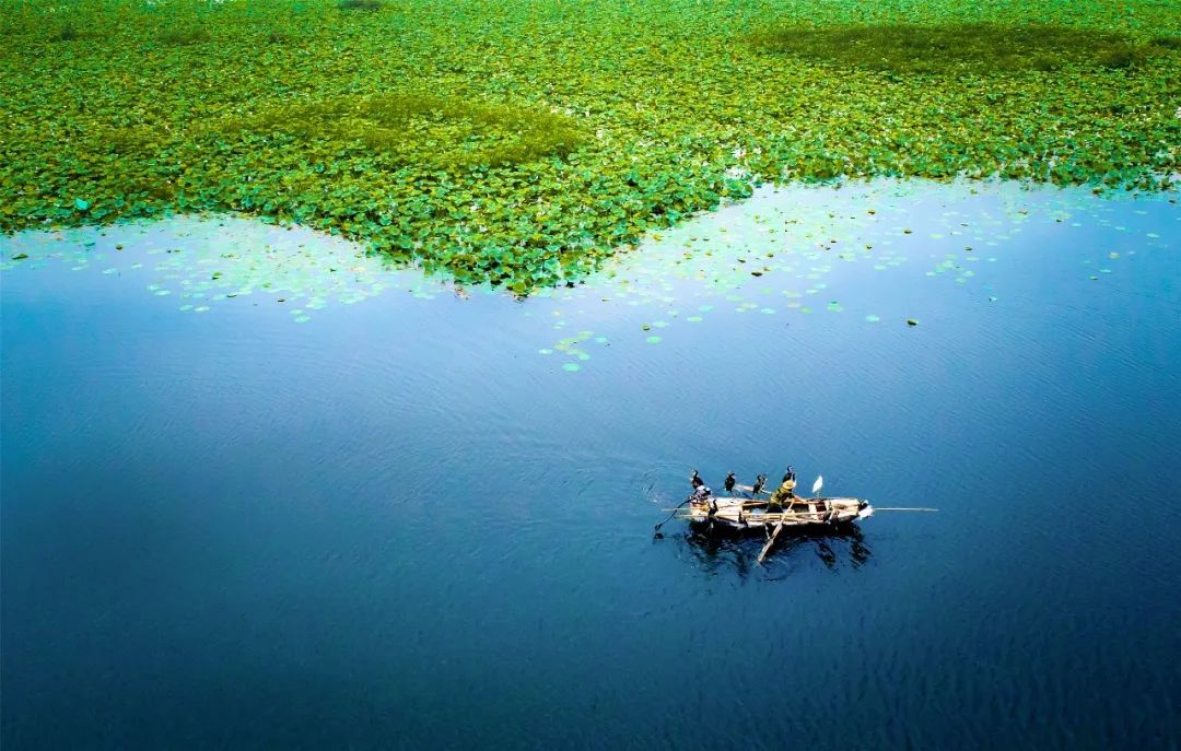 WeChat Image_20220729100223.jpg