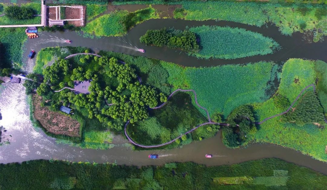 WeChat Image_20220729100254.jpg