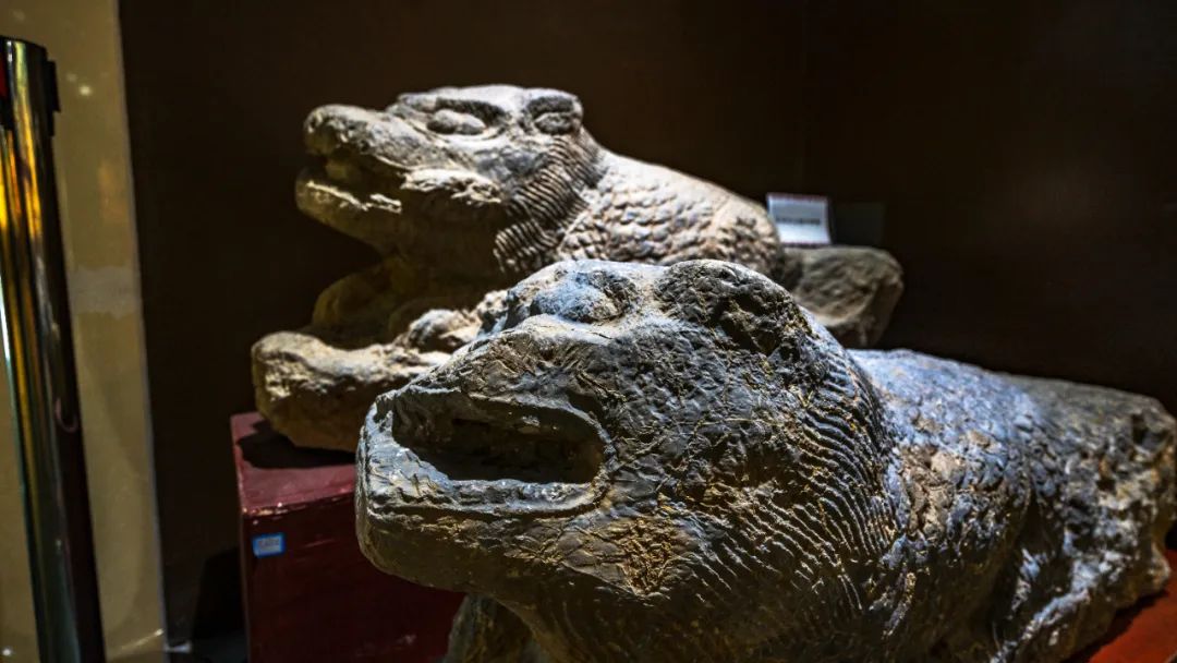 WeChat Image_20220819094724.jpg