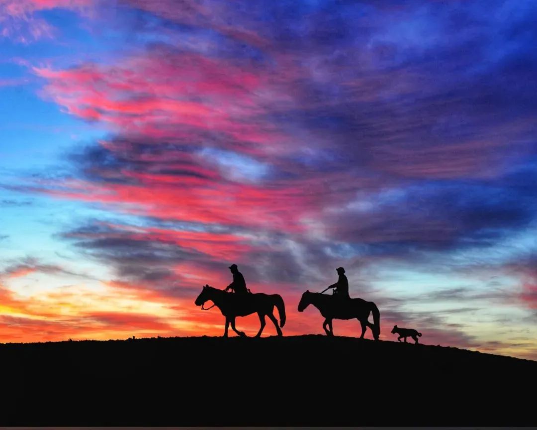 WeChat Image_20220823112740.jpg