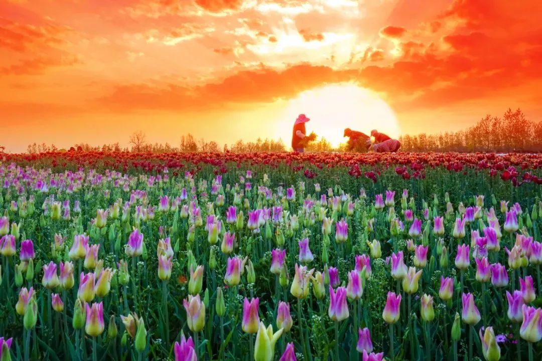 WeChat Image_20220823112743.jpg