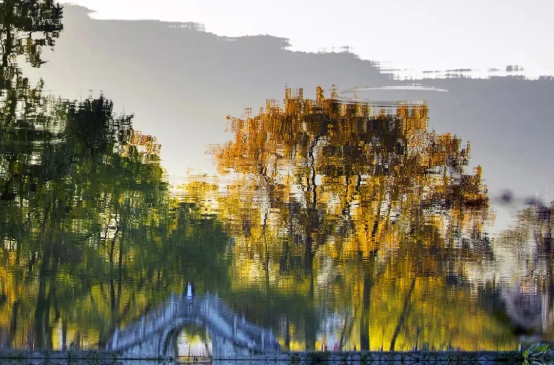 WeChat Image_20220823112751.jpg