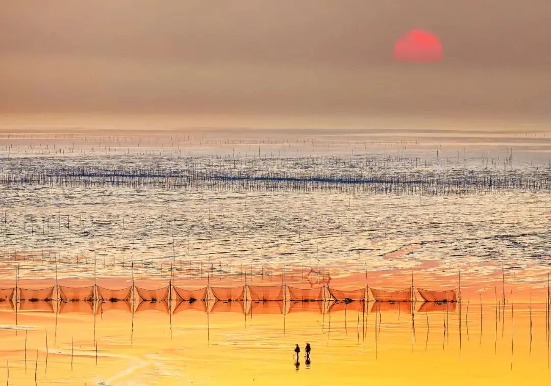 WeChat Image_20220823112814.jpg