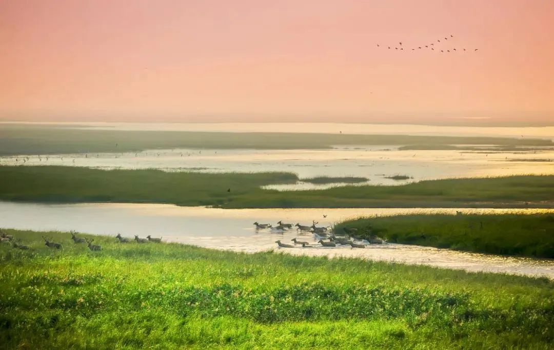 WeChat Image_20220823112820.jpg