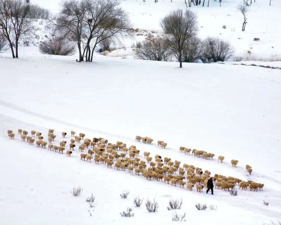 WeChat Image_20220823112850.jpg