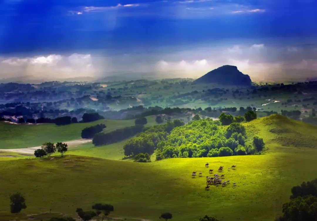 WeChat Image_20220823112852.jpg