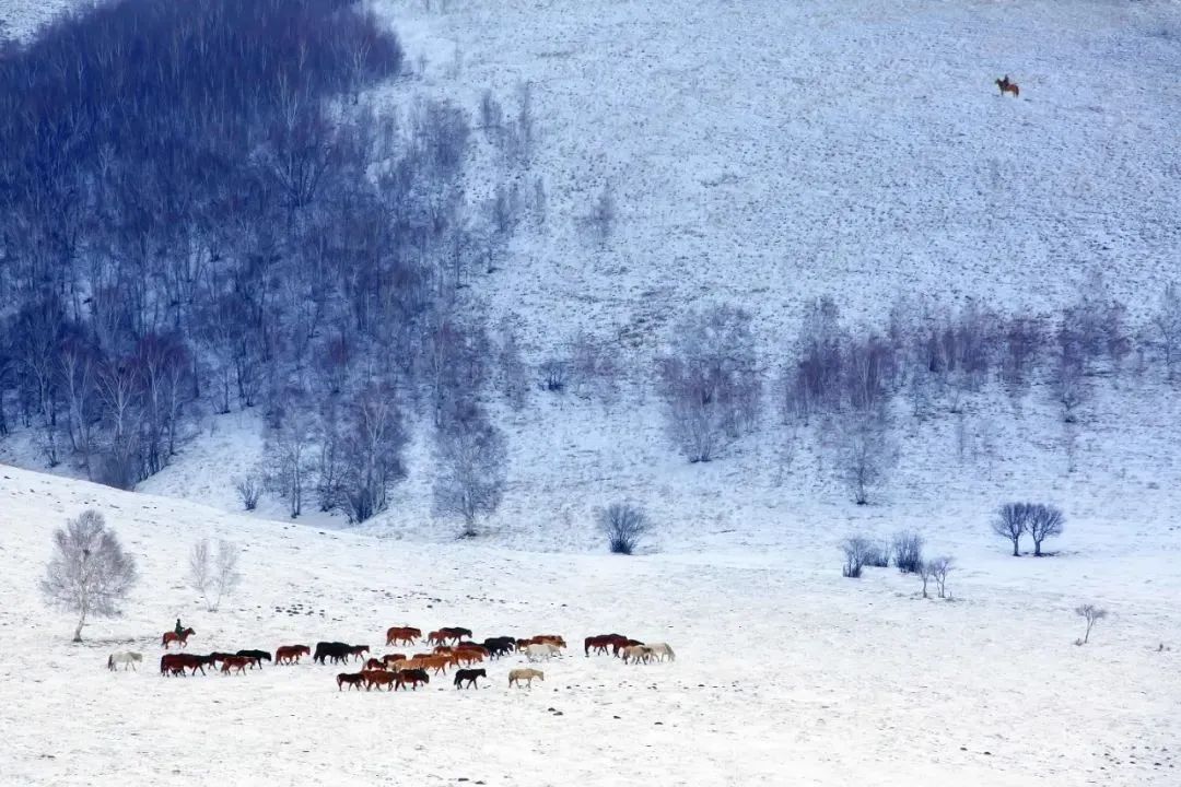 WeChat Image_20220823112855.jpg