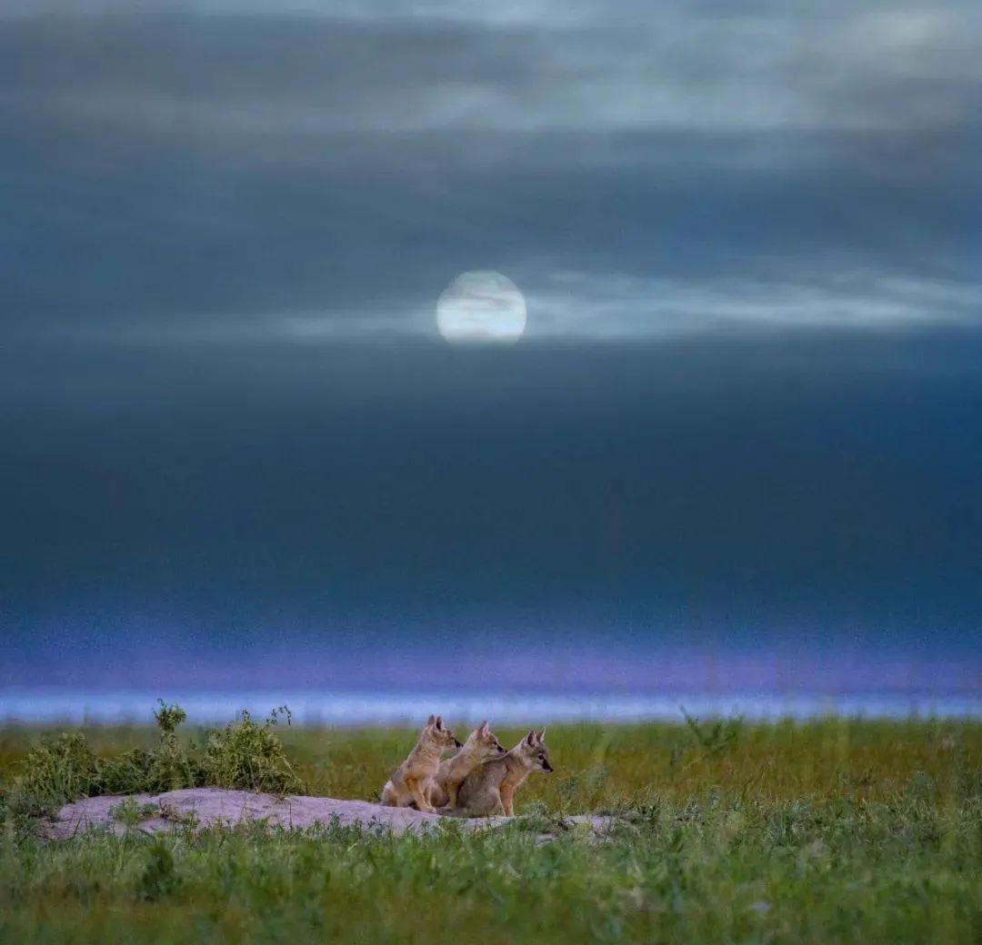 WeChat Image_20220823112923.jpg