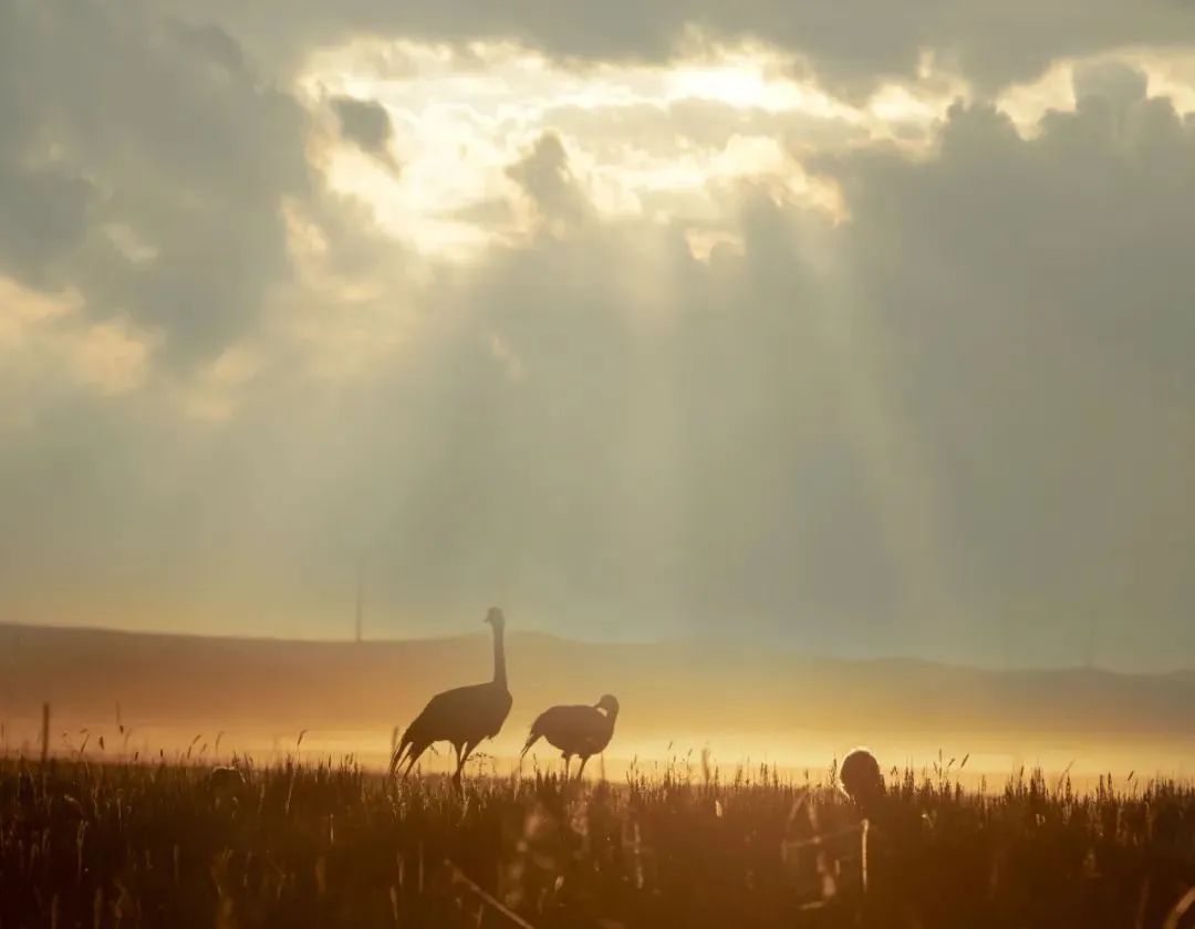 WeChat Image_20220823112927.jpg